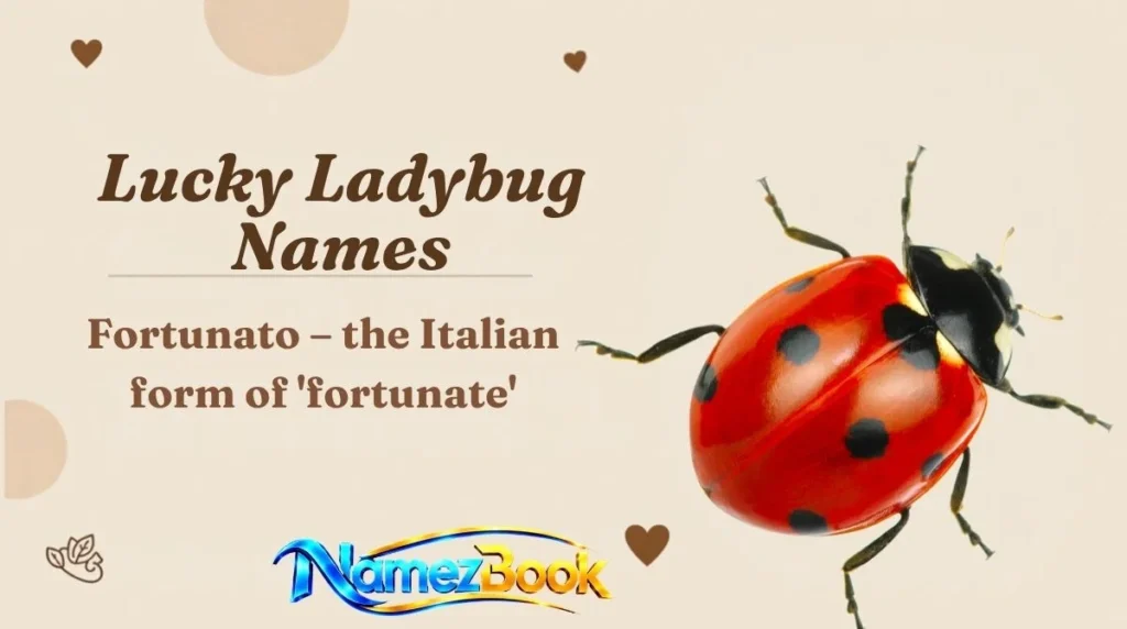 Lucky Ladybug Names