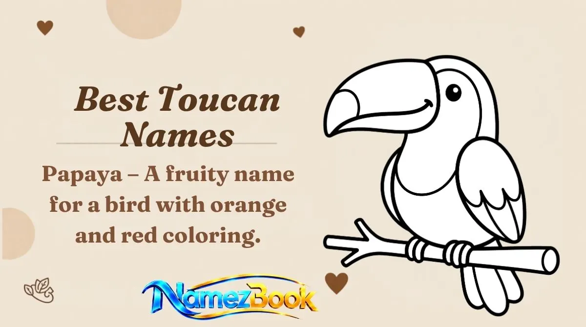 Best Toucan Names