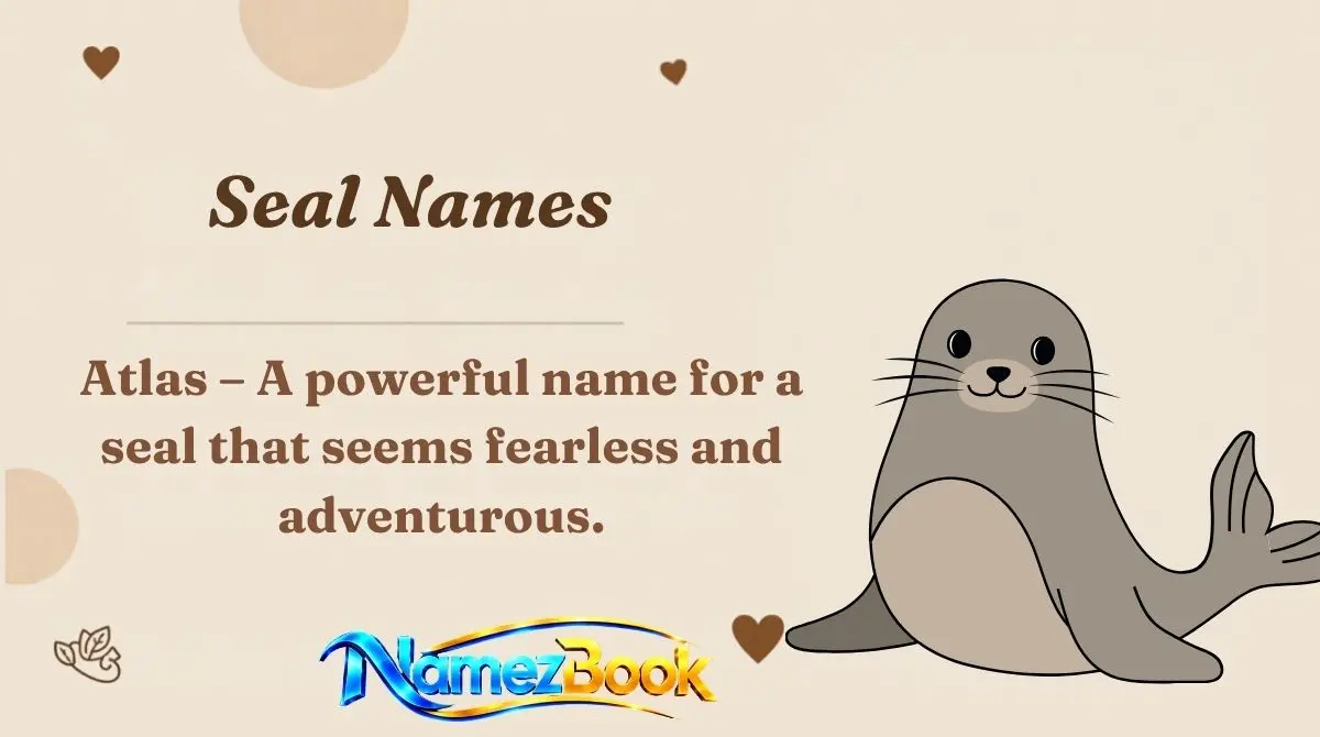 Seal Names
